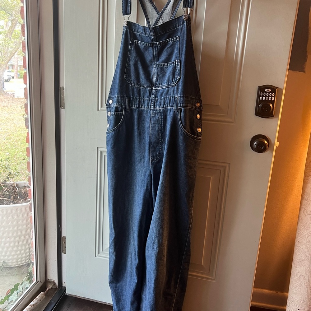 Free People Dark Blue Denim Overalls